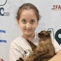 Фестиваль кошек для всей семьи — выставка кошек разных пород, котята, зона общения и шоу мыльных пузырей