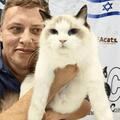 Фестиваль кошек для всей семьи — выставка кошек разных пород, котята, зона общения и шоу мыльных пузырей
