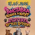 Выставка кошек в Ашкелоне