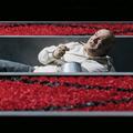 Кремулятор — Максим Суханов в спектакле Максима Диденко по роману Саши Филипенко