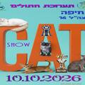 Выставка кошек и котят