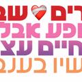 שבורים-שבורות - סיפורים מחיי הרווקות