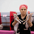 Международная выставка кошек