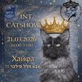 תערוכת חתולים בינלאומית בחיפה
