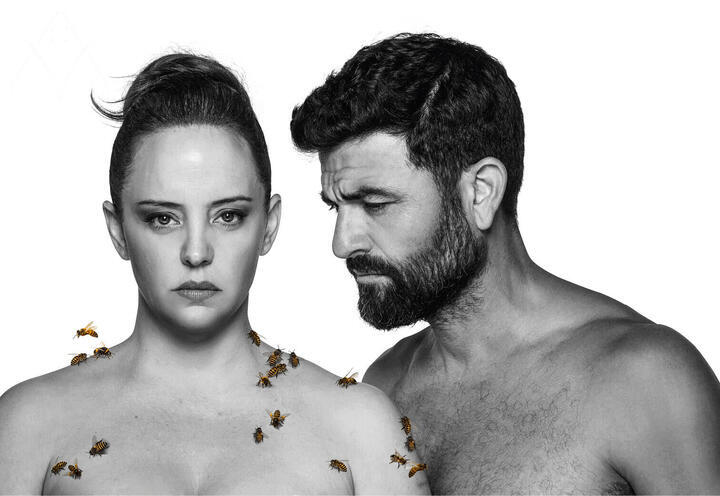 מדיאה - תיאטרון הקאמרי