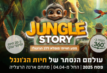 Jungle story – מסע חווייתי מופלא ללב הג'ונגל!