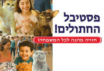 חתולים, חתלתולים, מופע והצגה "בית החתולים!