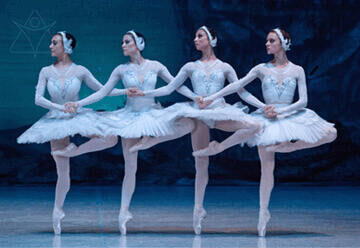 אגם הברבורים - בלט גורדייב