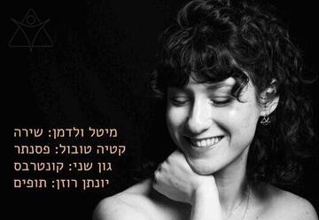 ערב עם מיטל ולדמן
