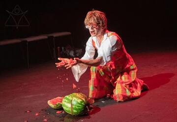 הגבירה מאבו דיס - תיאטרון תמונע