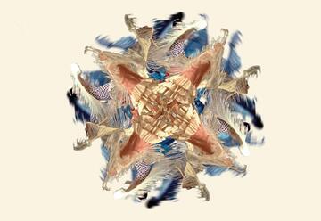 AЯBA - להקת הפלמנקו הישראלית