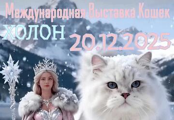 Вставка кошек и котят