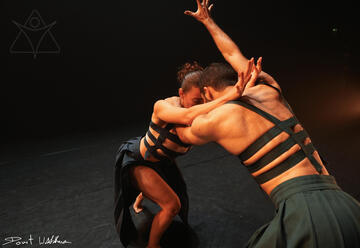 Home - להקת המחול יניב הופמן