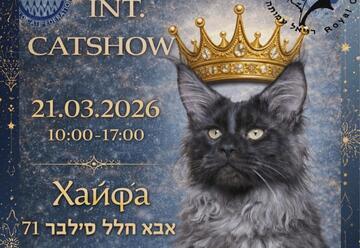 תערוכת חתולים בינלאומית בחיפה