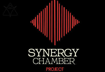 Synergy Chamber Project