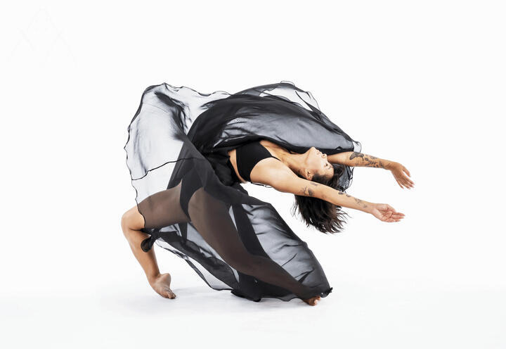 להקת פרידאנס