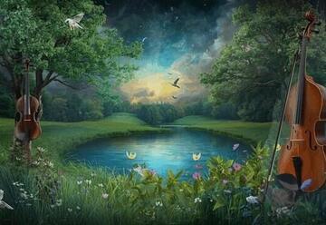 מוזיקה לילית - קונצרט