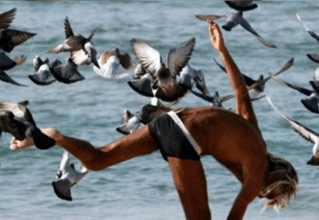 ערב ספרות - אומנות מנחמת בצל מלחמה