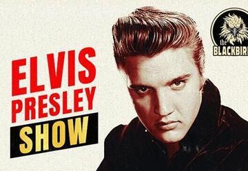 Elvis Night