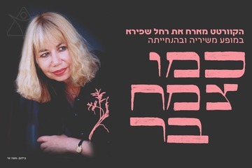 כמו צמח בר - הקוורטט מארח את רחל שפירא