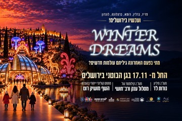 Winter Dreams III — Выставка света