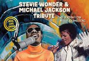 Stevie Wonder & Michael Jackson tribute