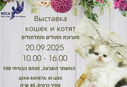 Выставка кошек и экзотических растений
