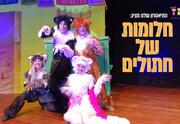 חלומות של חתולים - התיאטרון שלנו
