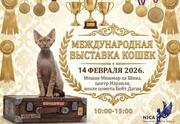 Международная выставка кошек
