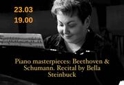 Сольный концерт Беллы Штейнбук