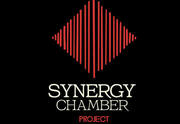 Synergy Chamber Project