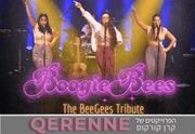 BoogieBees — посвящение Bee Gees