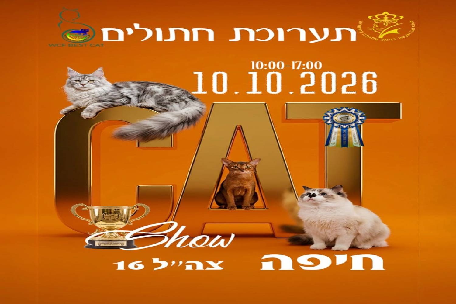 Выставка кошек и котят